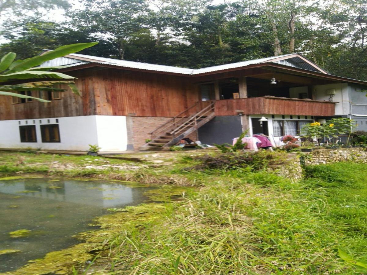 Wisma Papa Tia Toraja Tana Toraja 外观 照片